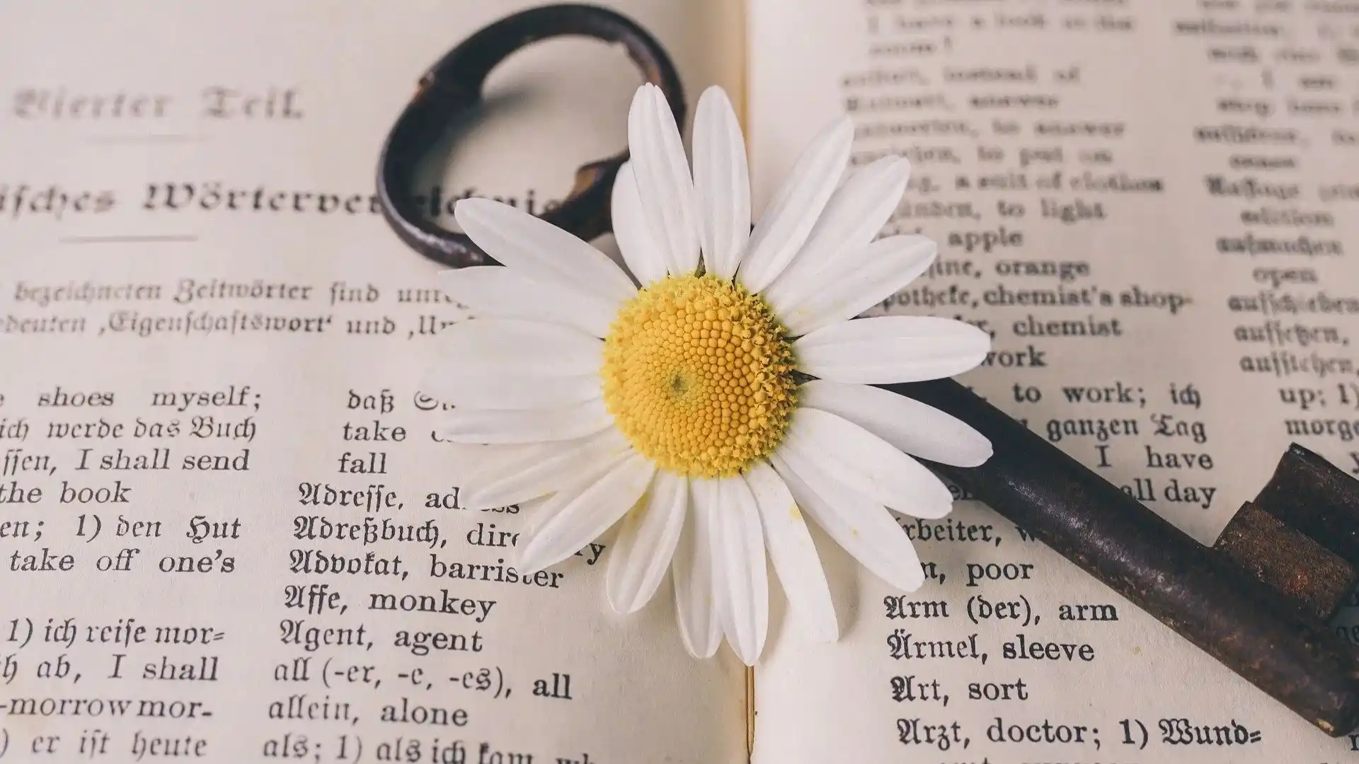 20 הטעויות הכי נפוצות באנגלית ואיך להמנע מהן.