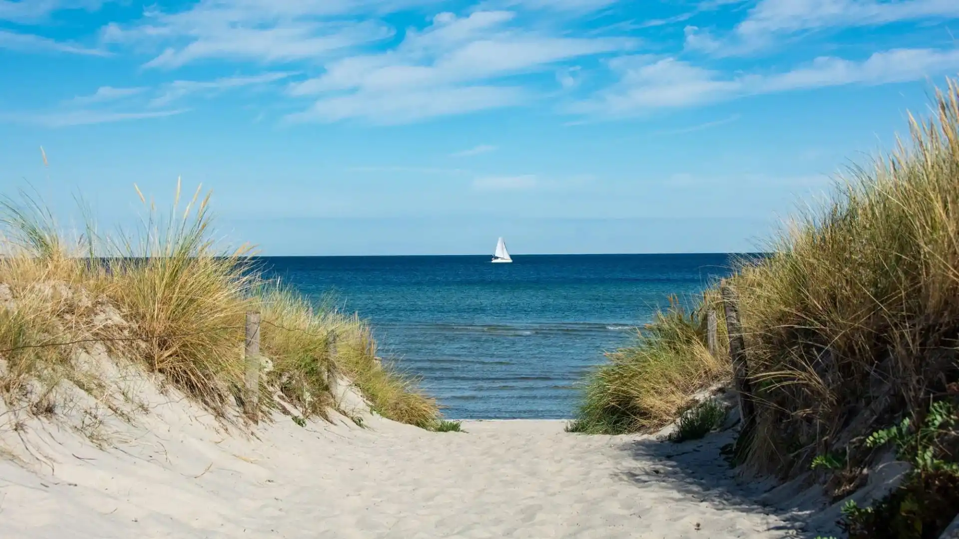 קטע קריאה קצר למתחילים באנגלית