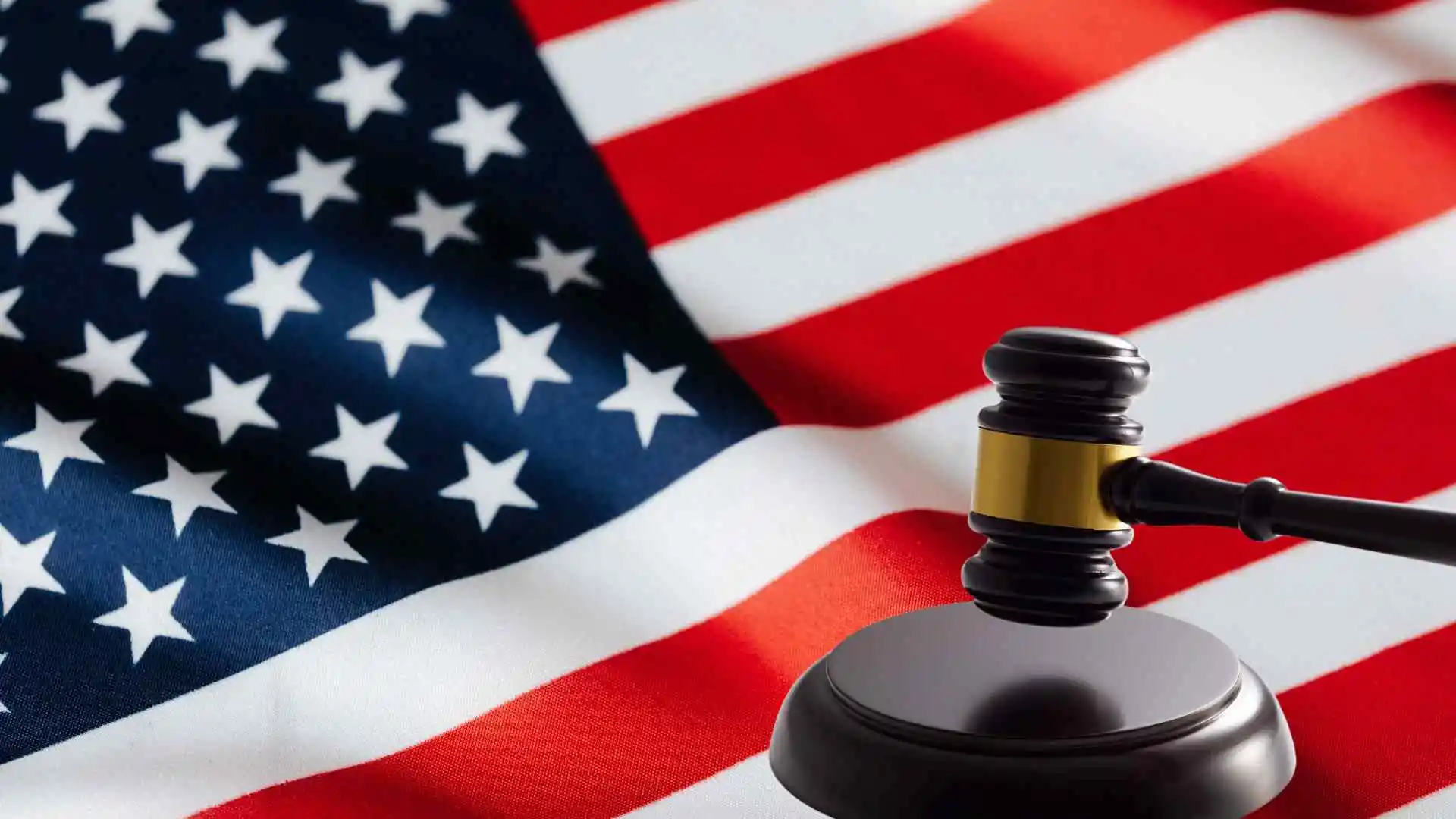 יום בבית משפט