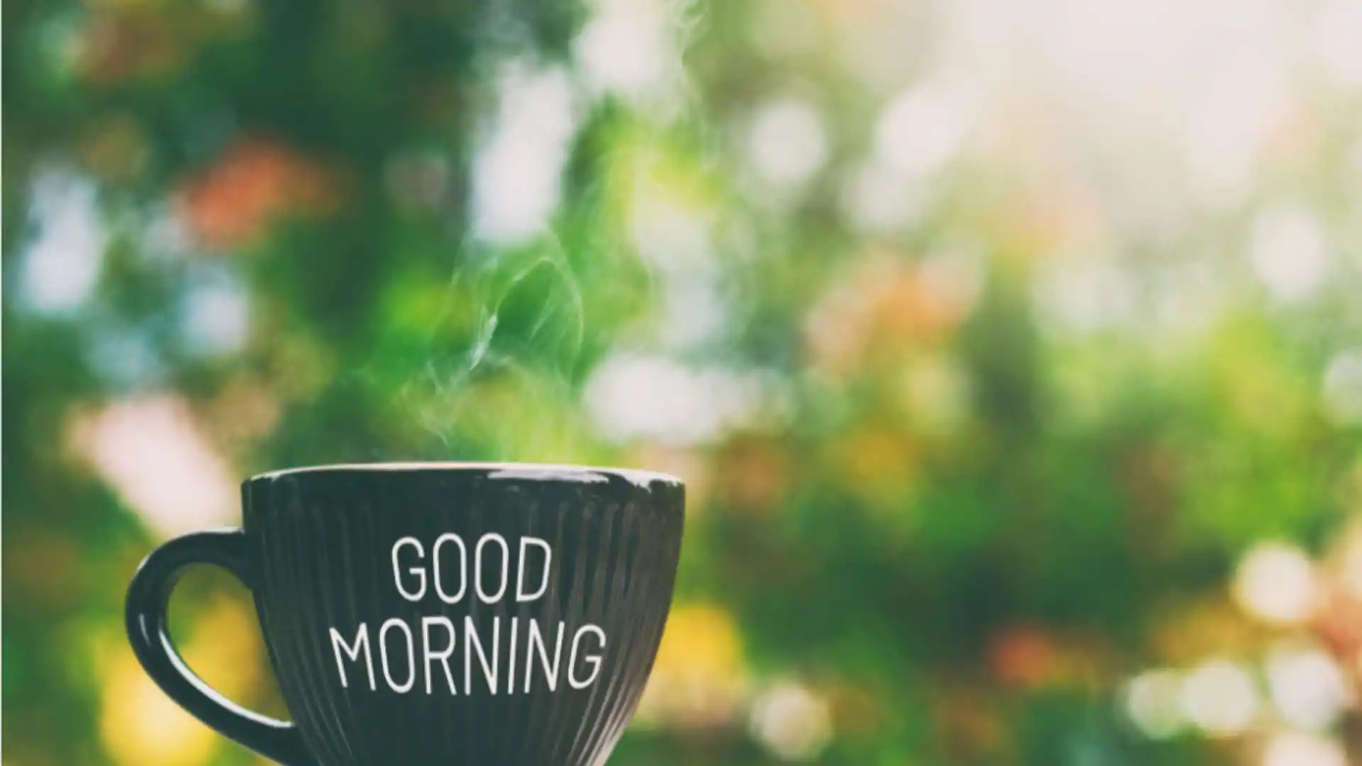 תרגול אוצר מילים למבחן הבגרות