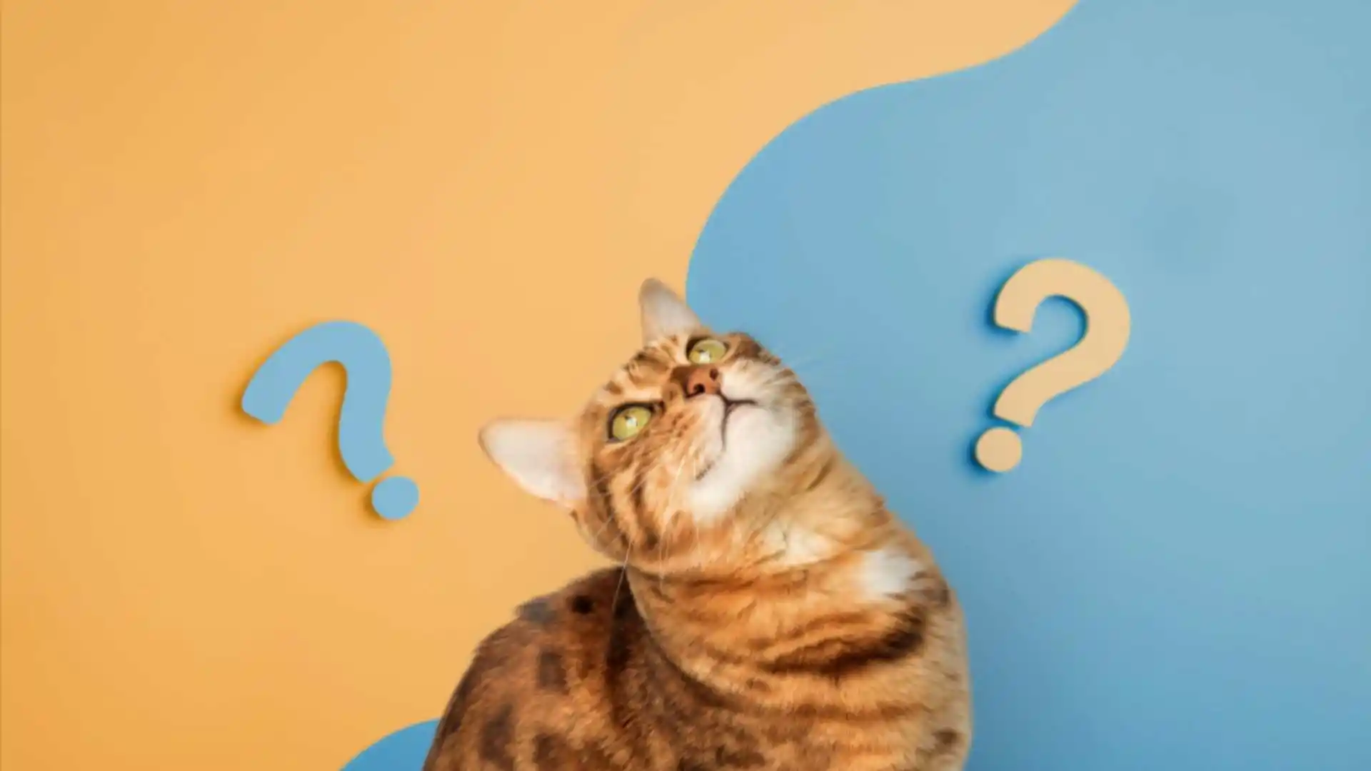 תרגול והסברים פשוטים