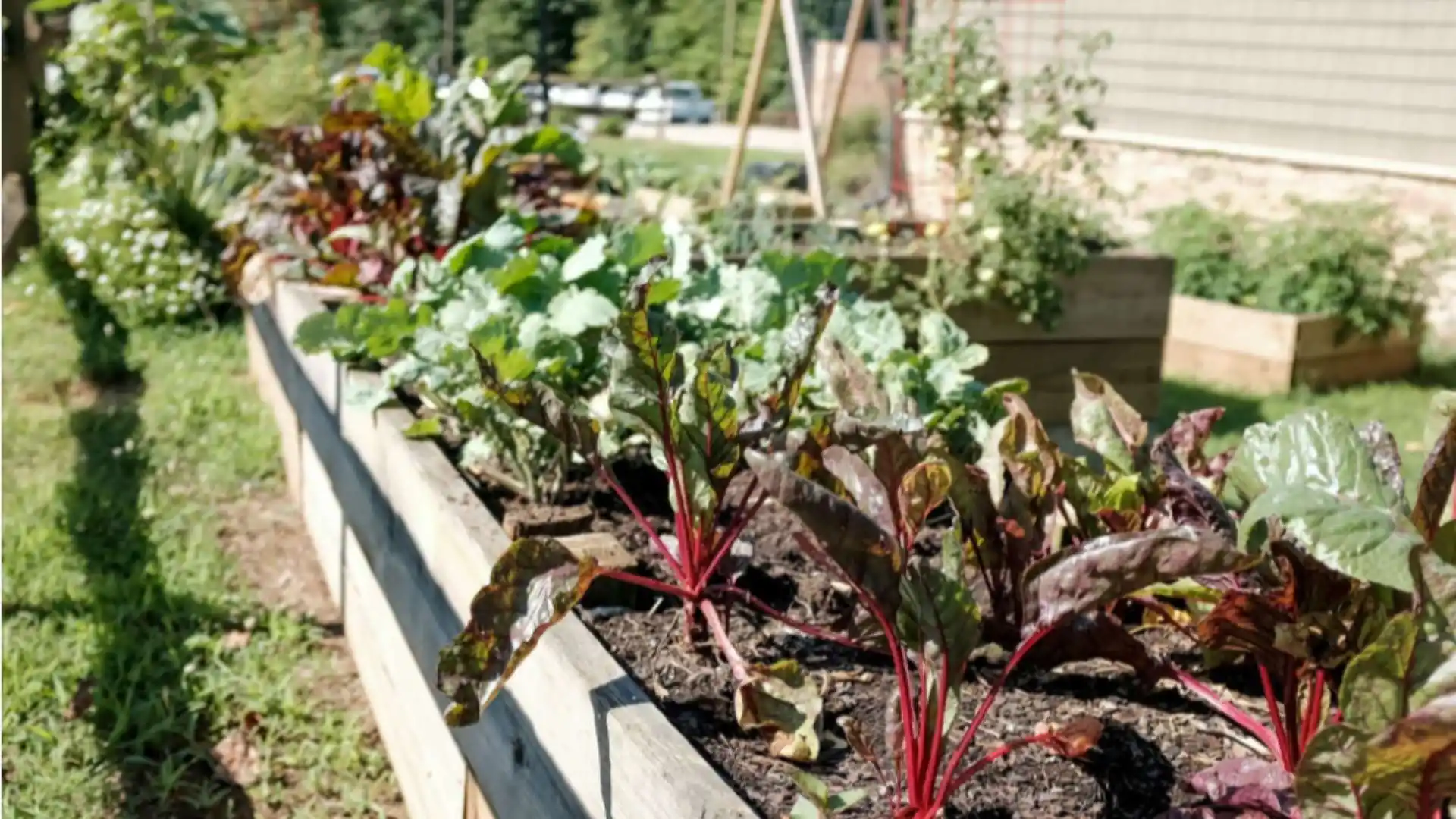 Gardening for Beginners