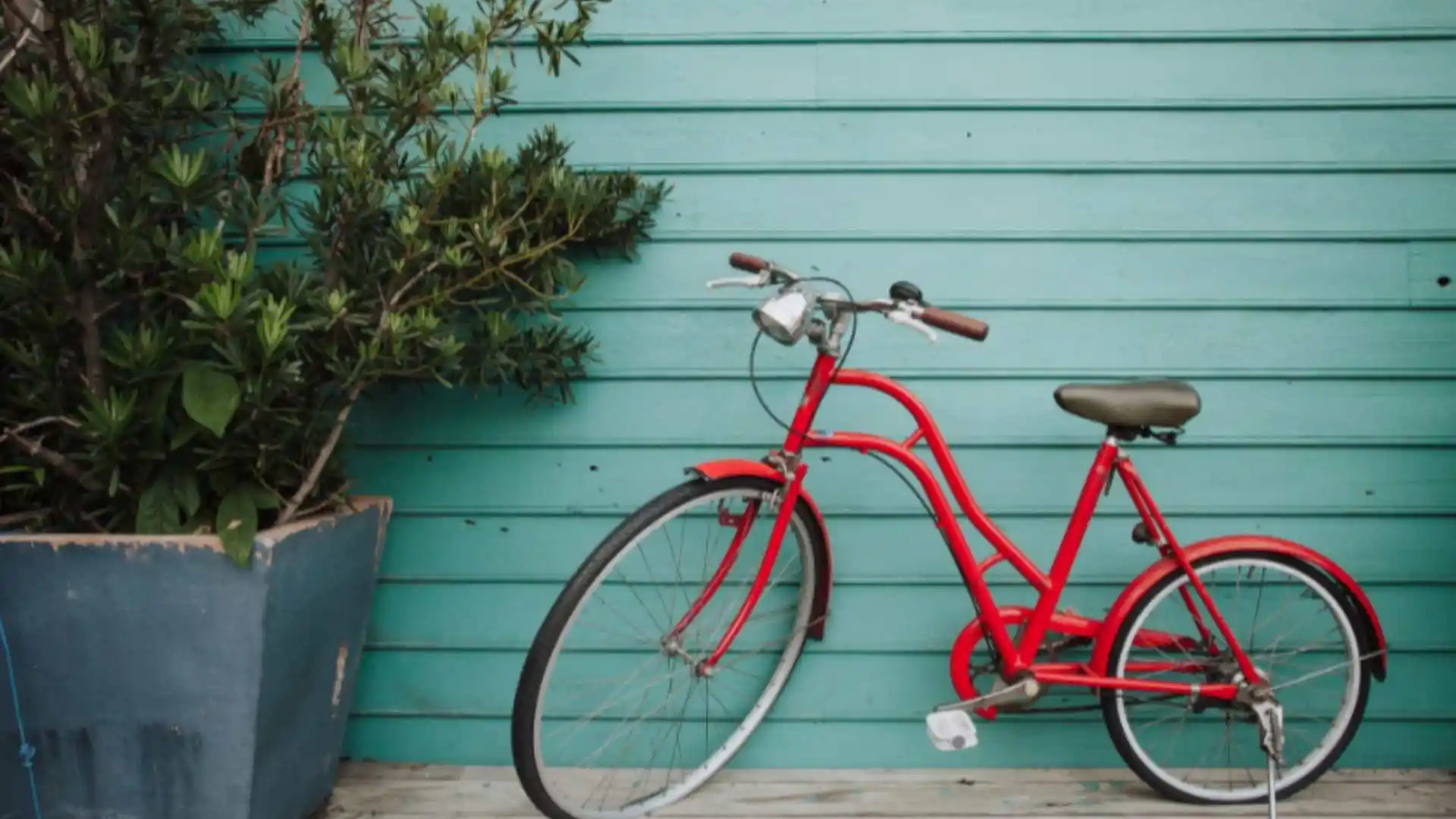 אנסין באנגלית לכיתה ו' - Ben's New Bike